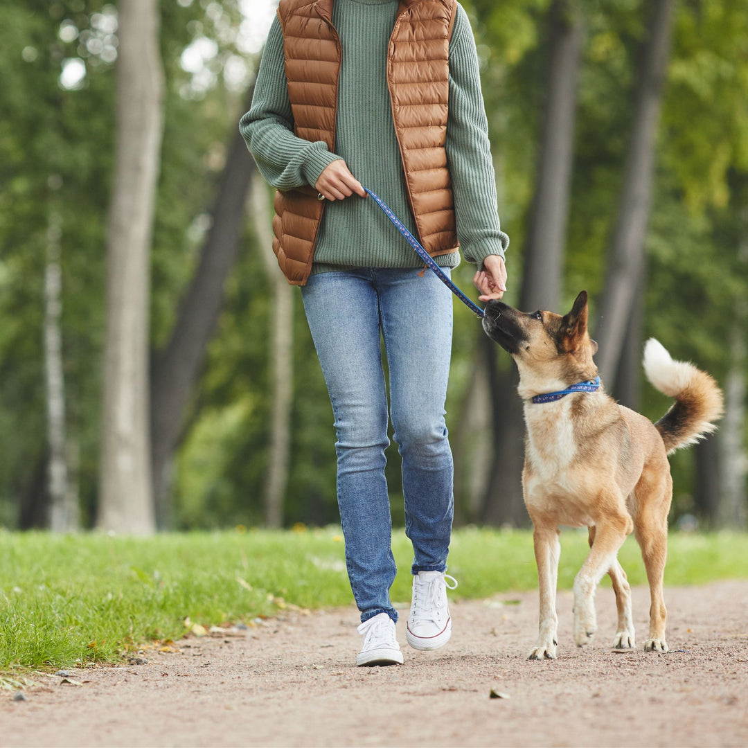 Instructors: Canine Body Behavior and Consultations Webinar