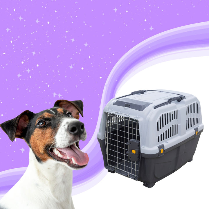 Love Your Crate Training Tidbit