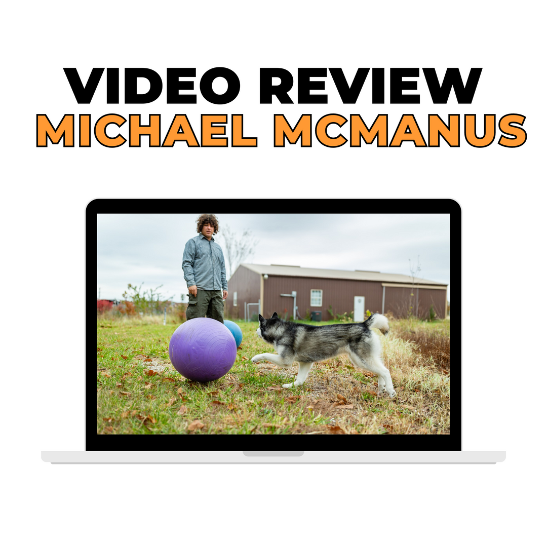 Treibball Video Review with Michael McManus