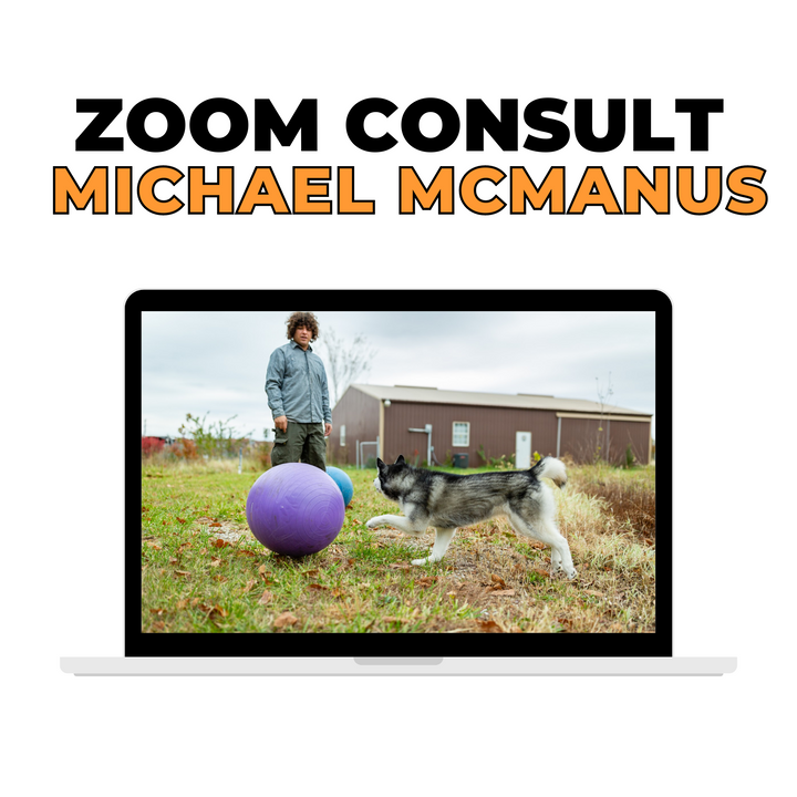 Treibball Zoom Consultation with Michael McManus