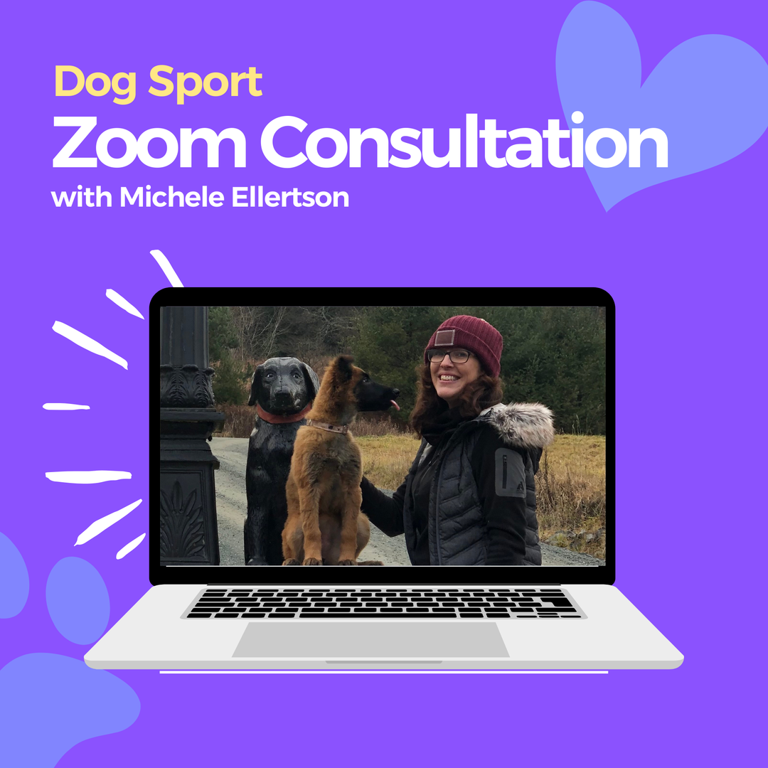 Dog Sport Consultation with Michele Ellertson