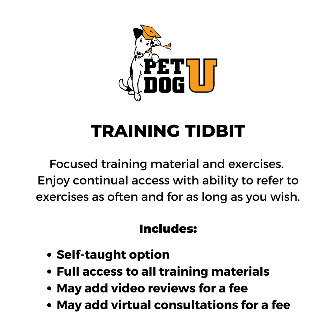 Let's Pose Training Tidbit