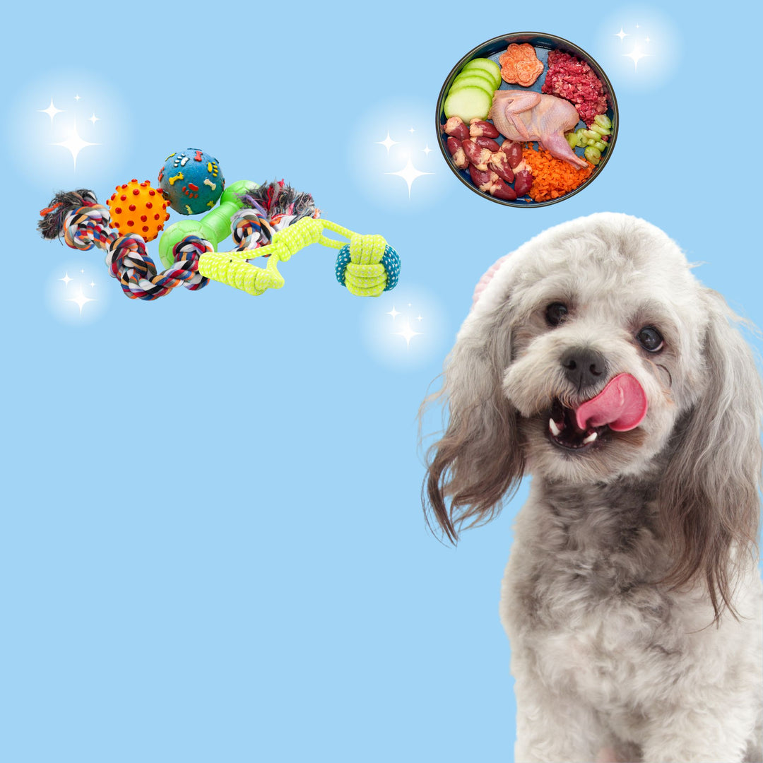 What Ya Like: Finding Your Dog's Rewards Mini-Webinar